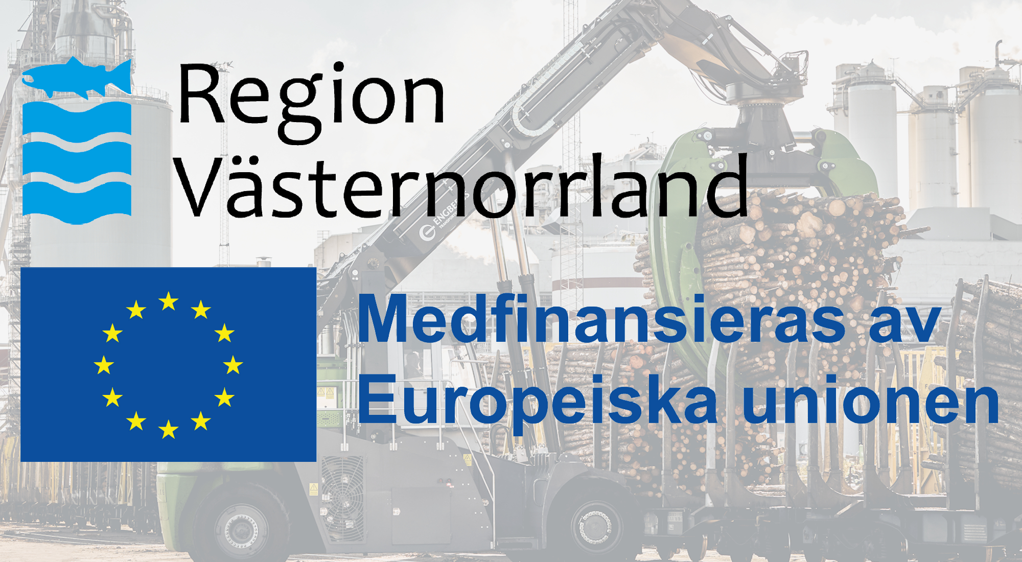 Toppbild för Vi bidrar till hållbar tillväxt i regionen.